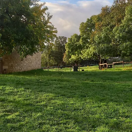 Le Jardin Des Bosquets The Little * Auchay-sur-Vendee