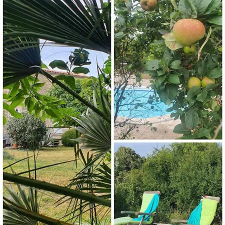 Le Jardin Des Bosquets The Little *