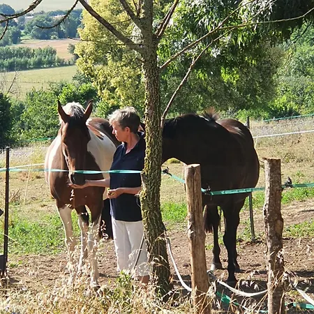 Le Jardin Des Bosquets The Little Auchay-sur-Vendee