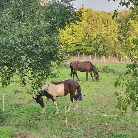 Σπίτι διακοπών Le Jardin Des Bosquets The Little *